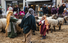 Kinder_und_Schafe_original