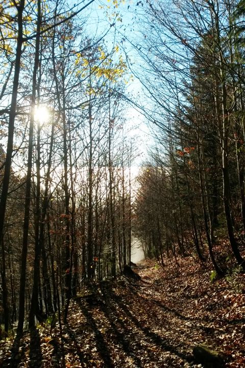 Angebote für Erwachsene