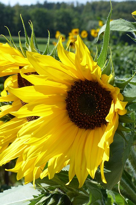 Kircheneintritt & Mitglied werden